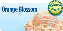 Orange Blossom