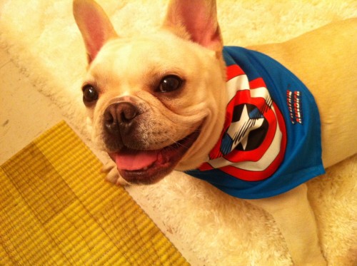 Alpine Veterinary Hospital Image