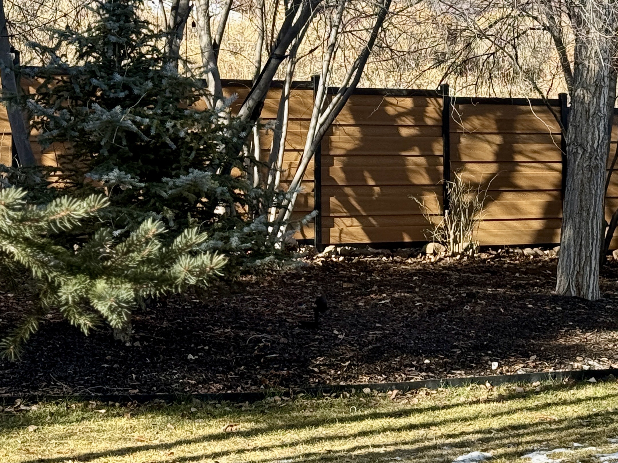 Bear Creek Fencing & Backyard Image