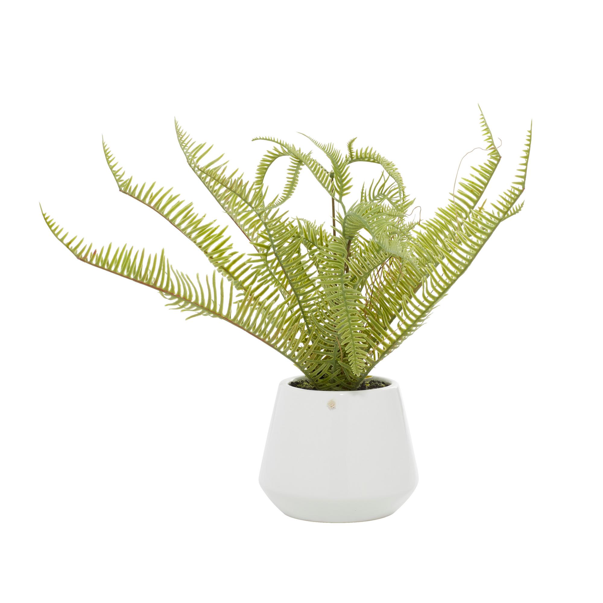 White Artifical Plant