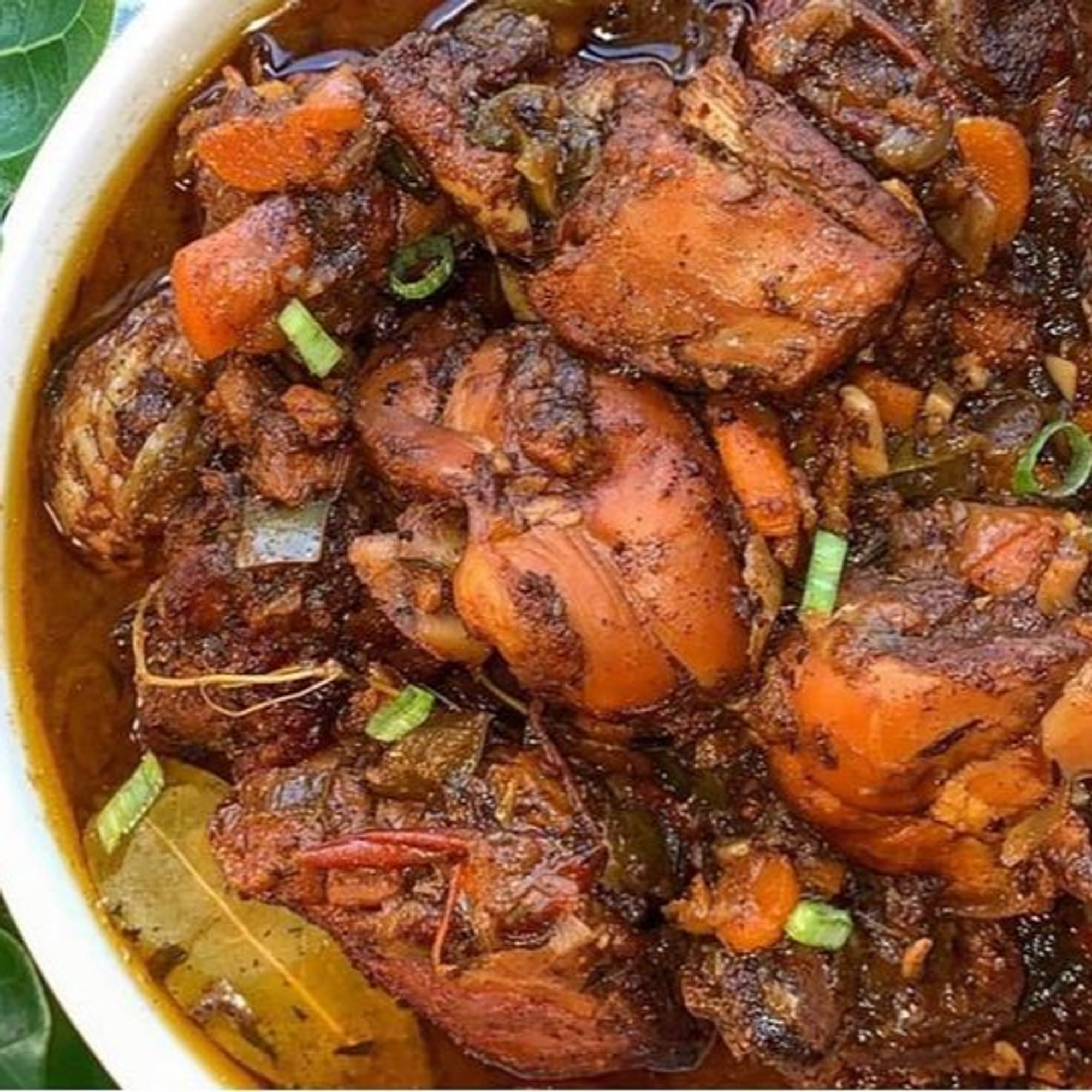 Brown Stew Chicken Plate