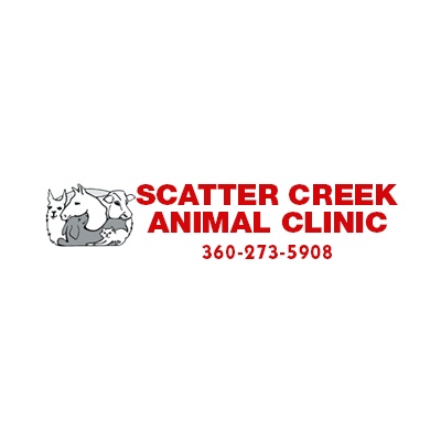 scatter creek vet