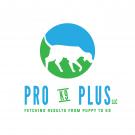 Pro K9 Plus LLC Logo