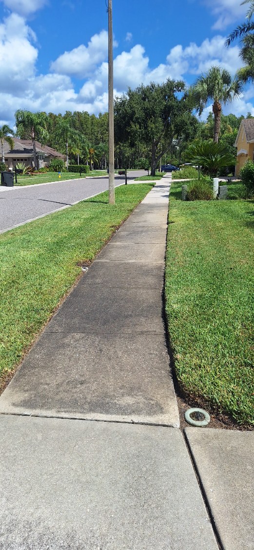 Window Hero Northern Tampa Image