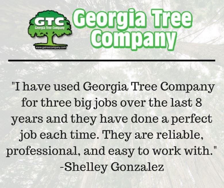 Georgia Tree Company Image