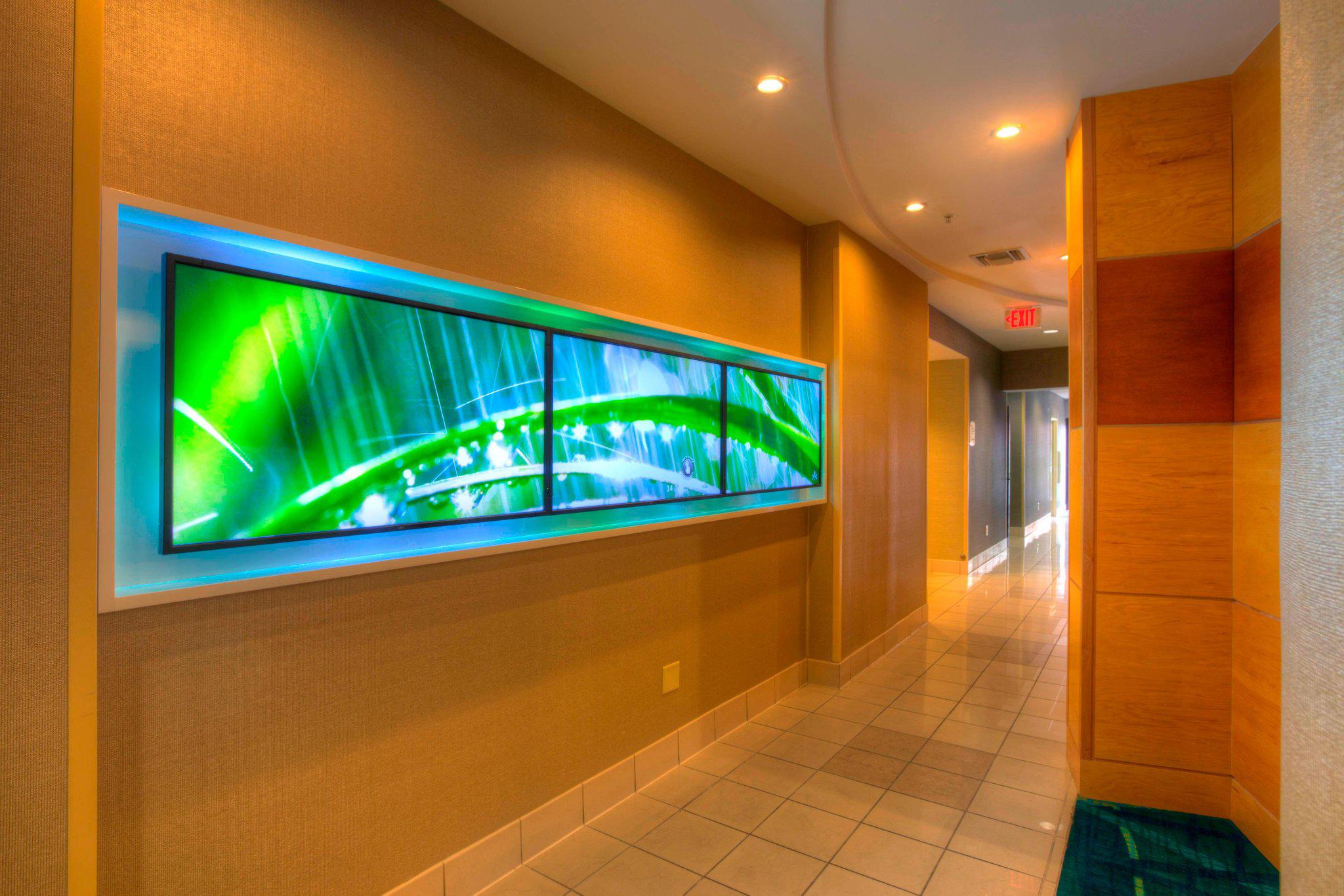 SpringHill Suites by Marriott Tampa Brandon Photo