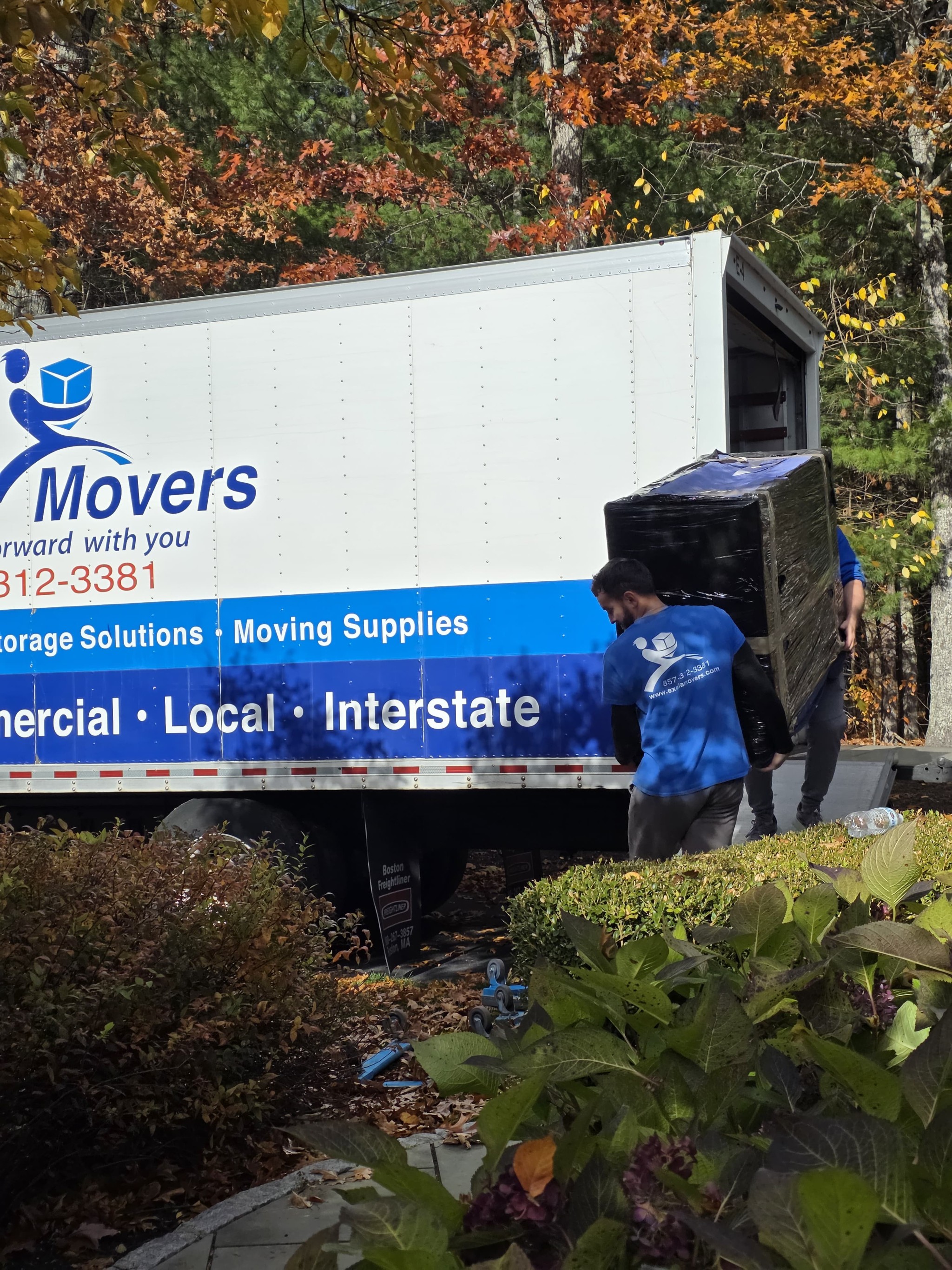 Exela Movers Image