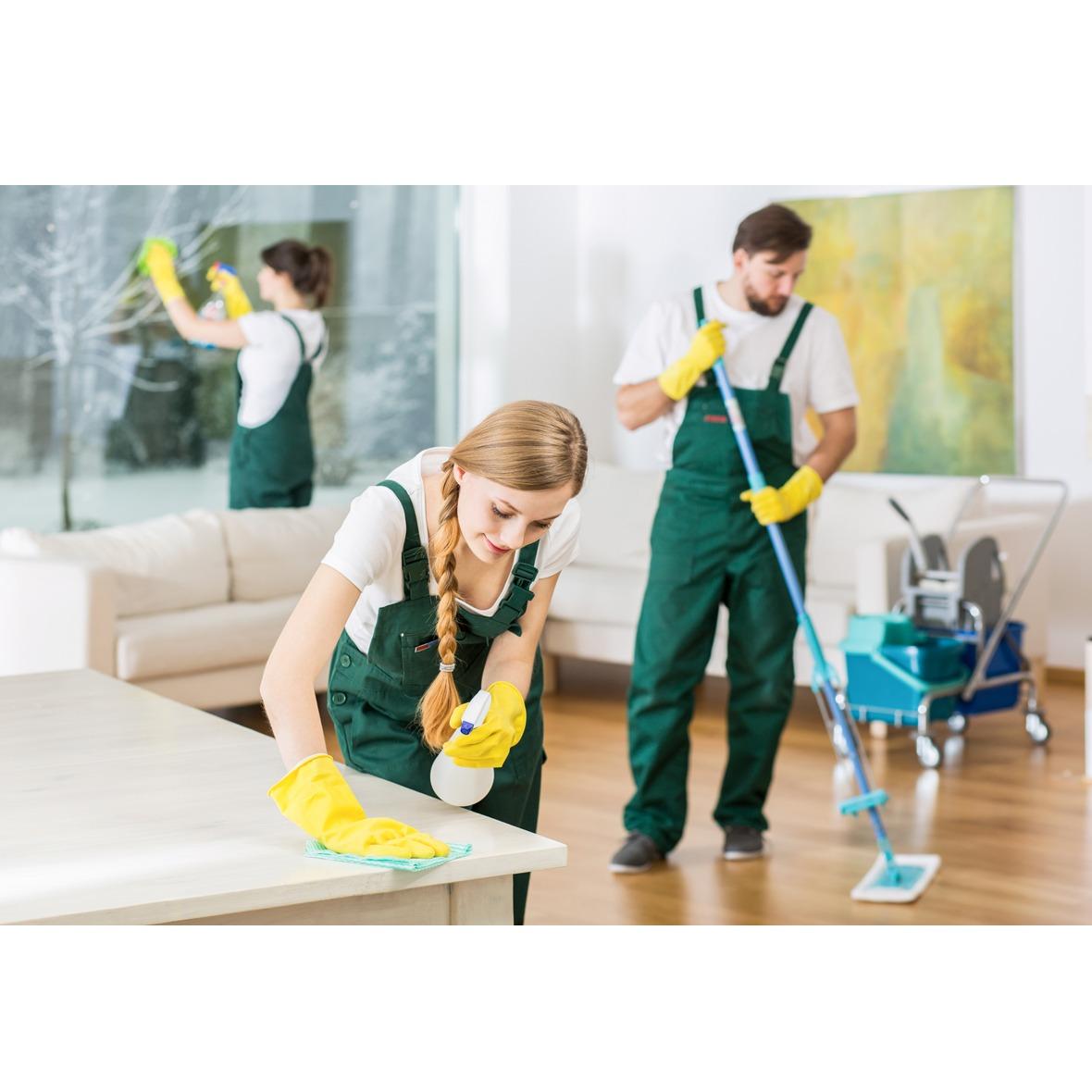 T &amp; Z Building Maintenance, LLC Logo