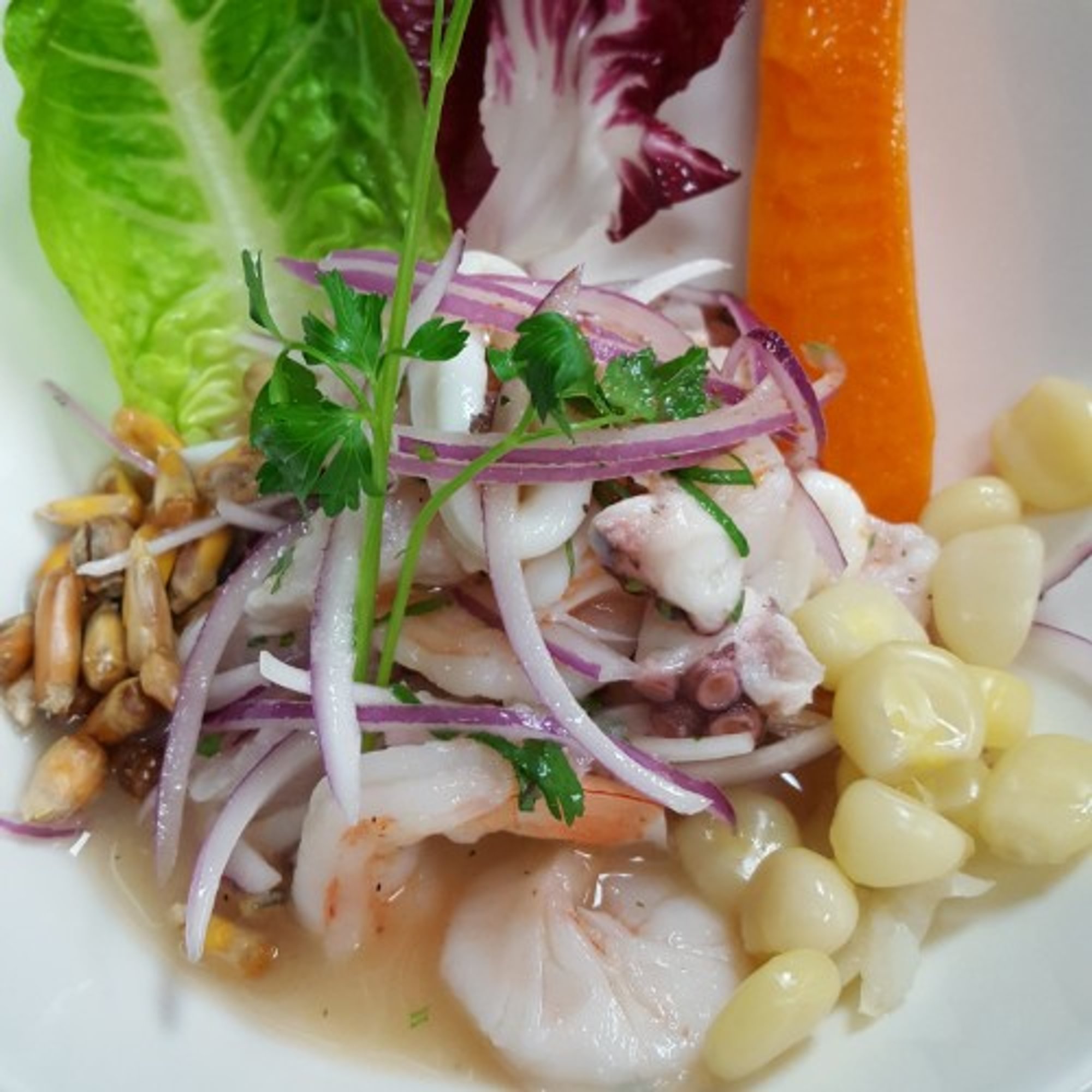 Mixto Ceviche