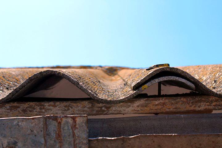 EnvioCore | Environmental Testing Image