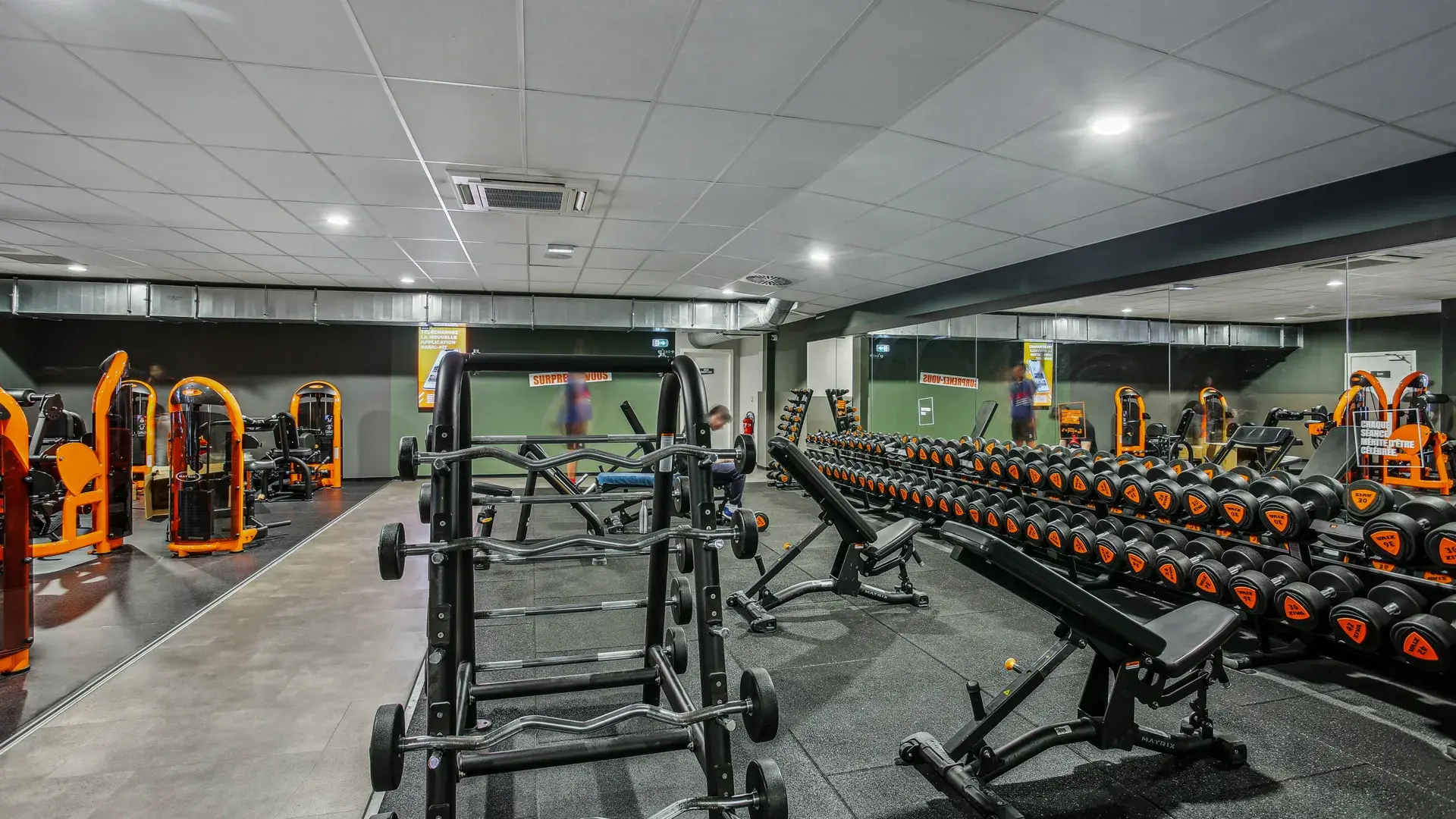 Miniature de la galerie