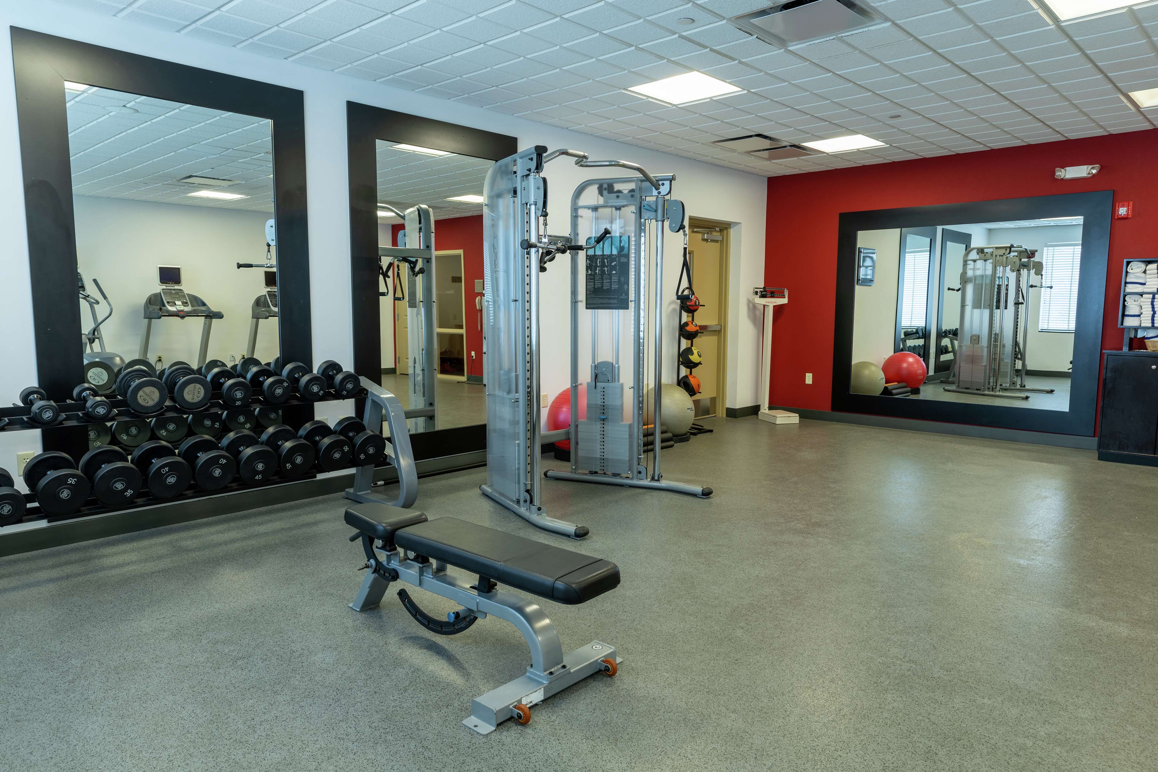 Health club  fitness center  gym