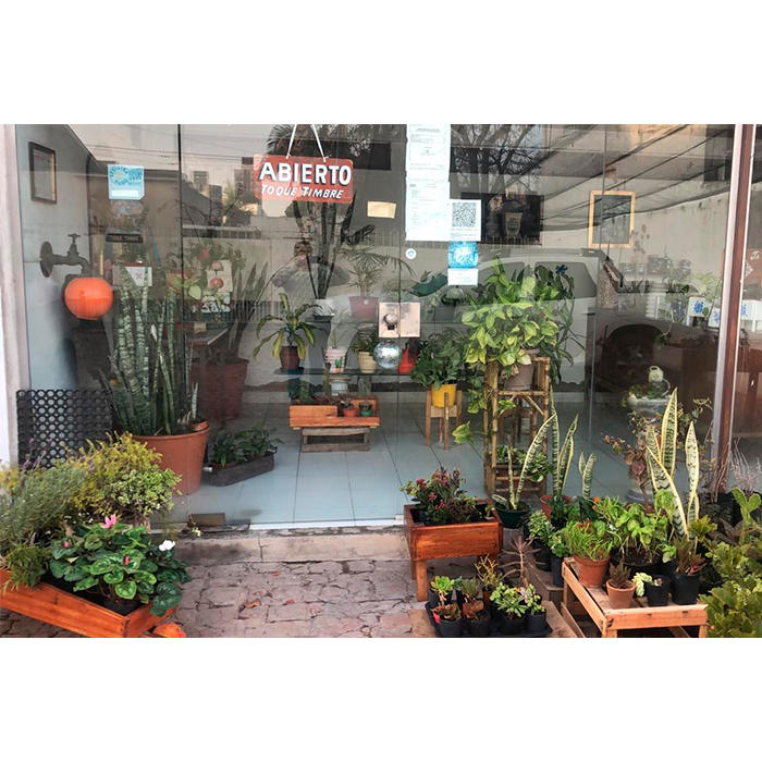 Galería en miniatura