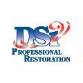 DSi Professional Restoration Photo