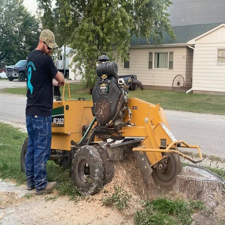 Johnston Stump Grinding Image