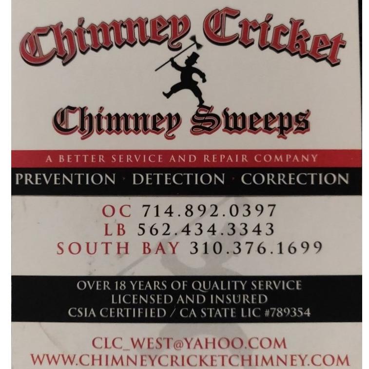 Chimney Cricket Chimney Sweeps Photo