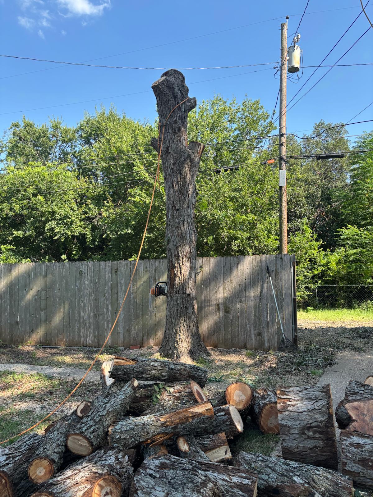 Mite Tree Service