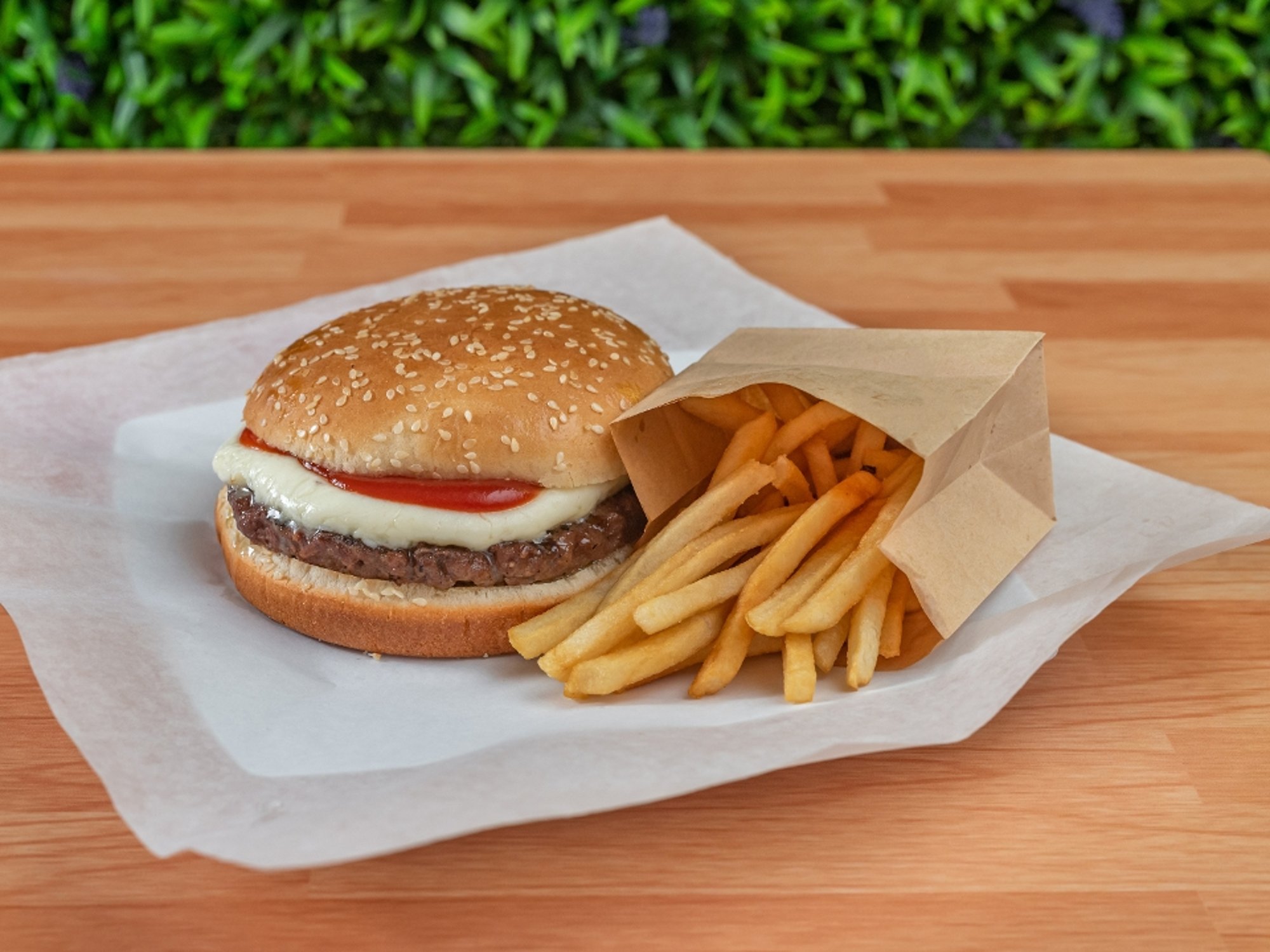 Cheese Burger plain with Fries