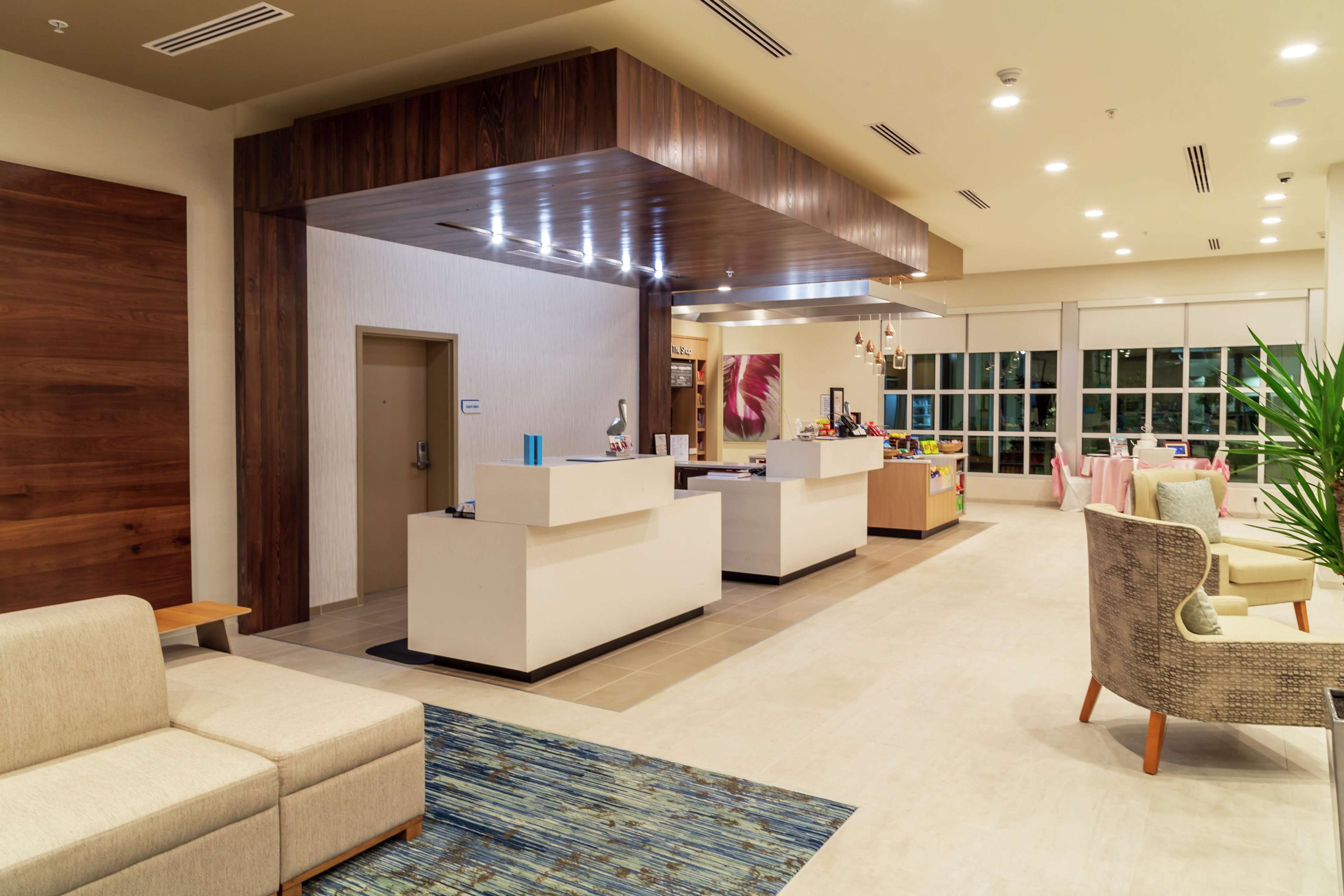 Hilton Garden Inn Tampa-Wesley Chapel Photo