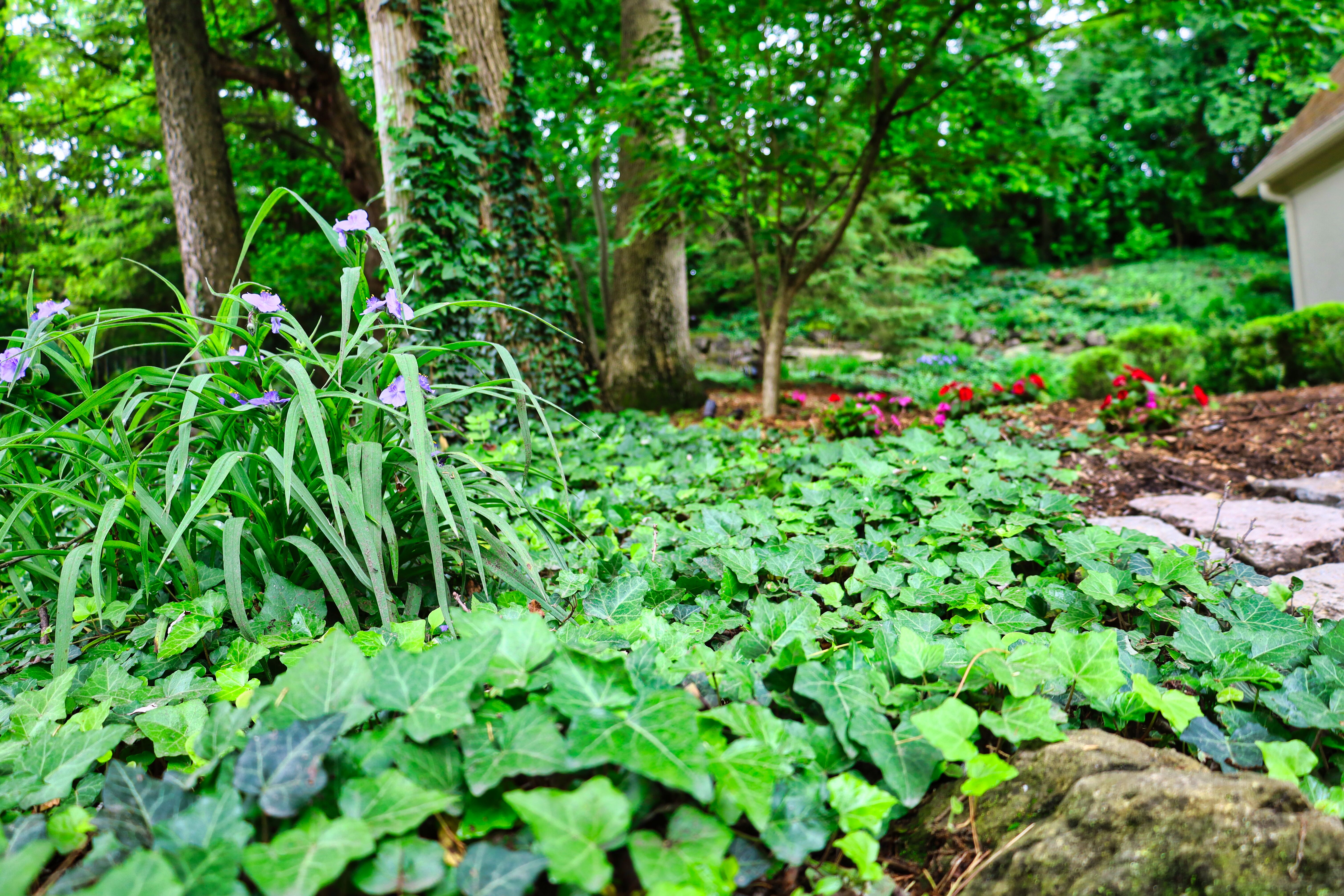 Oakwood Lawn & Landscaping Image