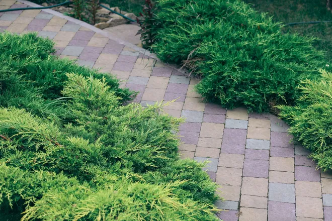 Hardscape Installation Services