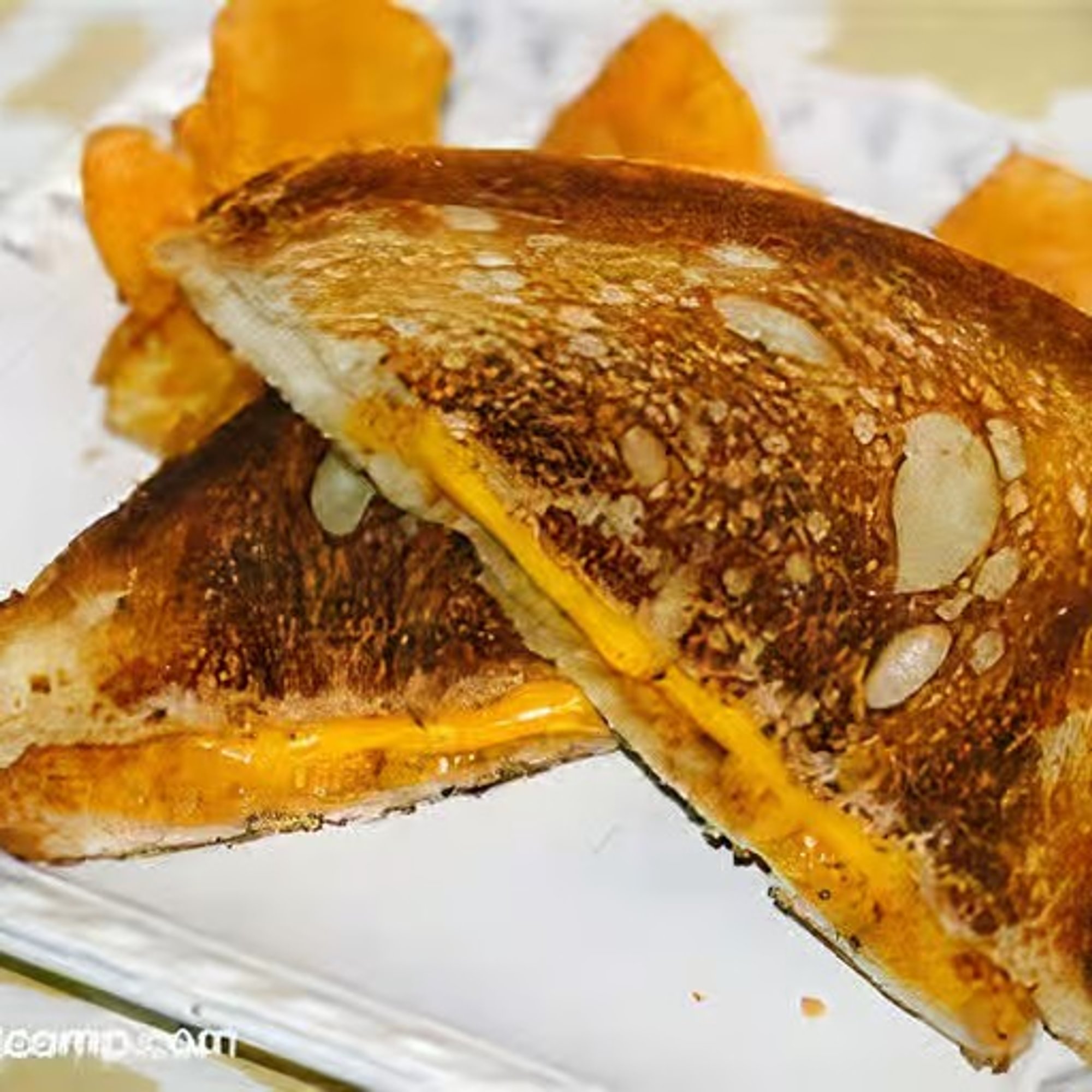 Grilled cheese/tomato sandwich