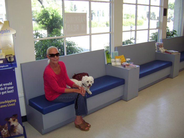 VCA Venice Boulevard Animal Hospital Photo