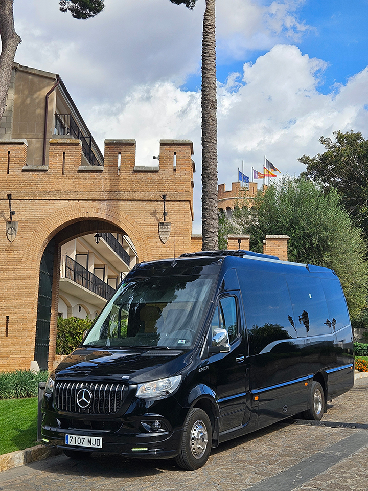 Galería en miniatura