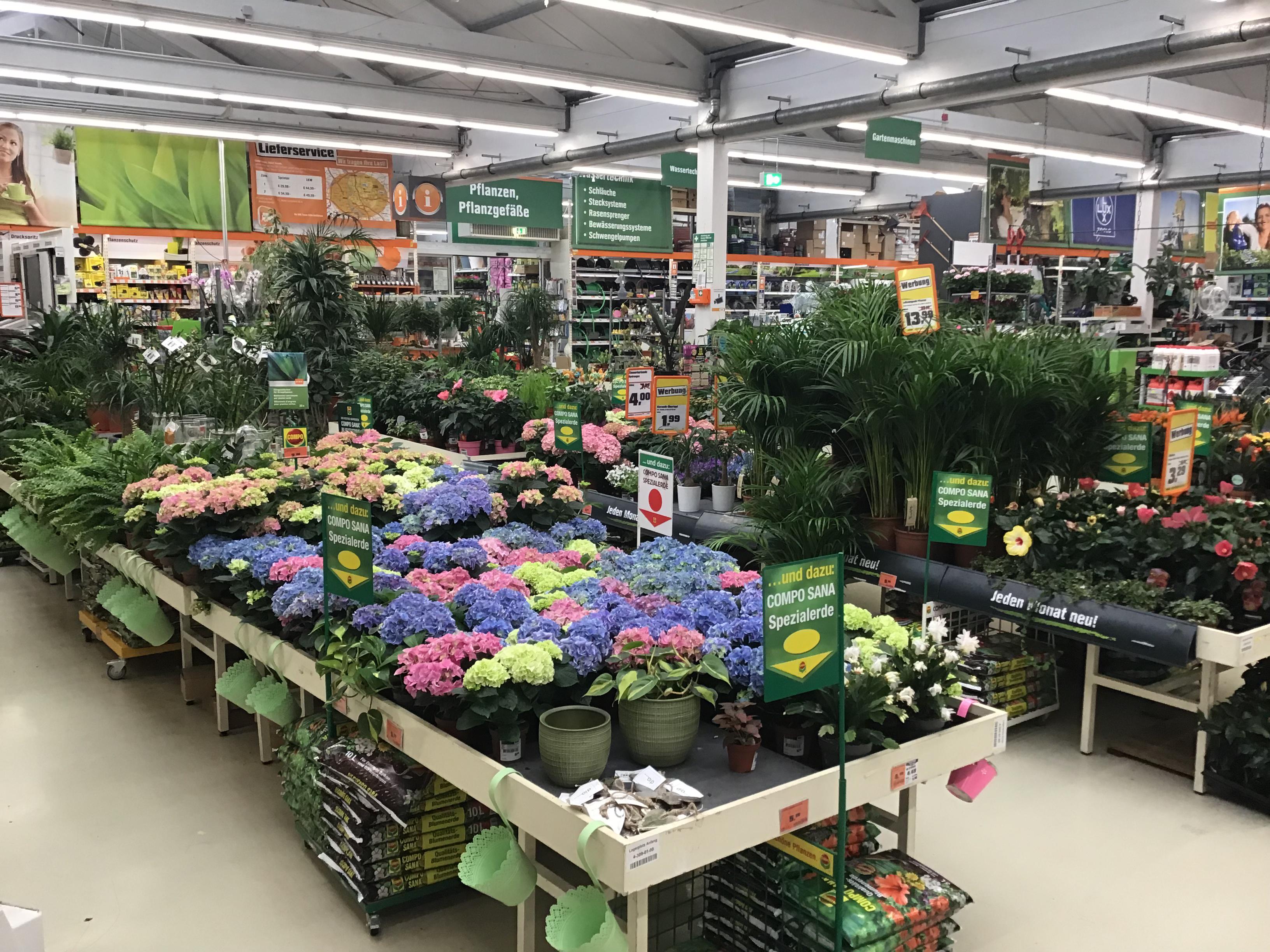 Bilder OBI Markt Köln-Dellbrück