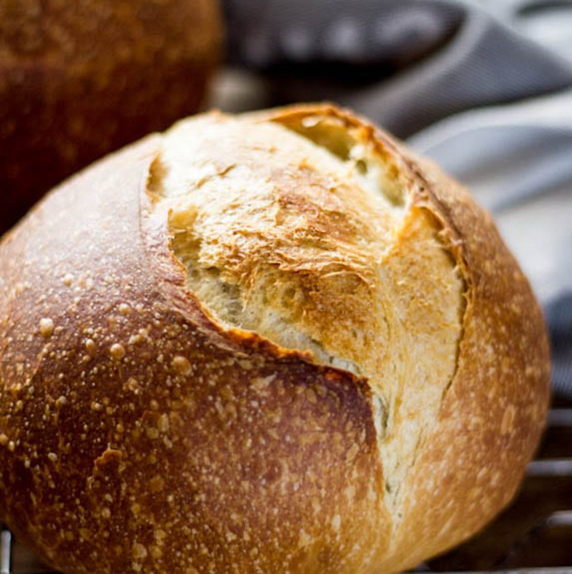 Sour Dough Bread