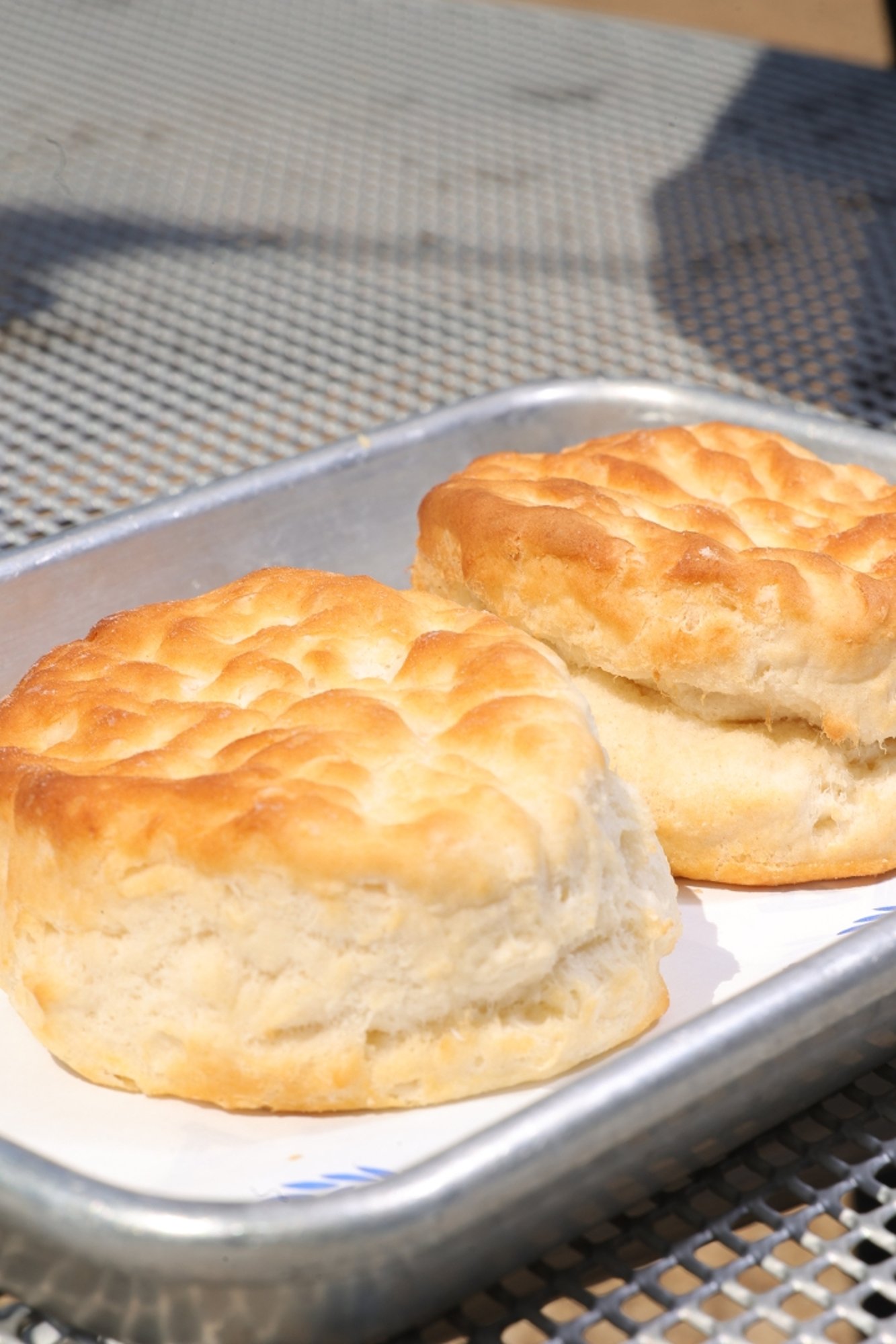 Biscuit