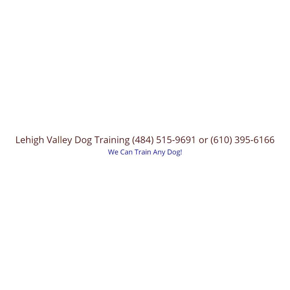 Lehigh Valley Dog Training and Behavior
