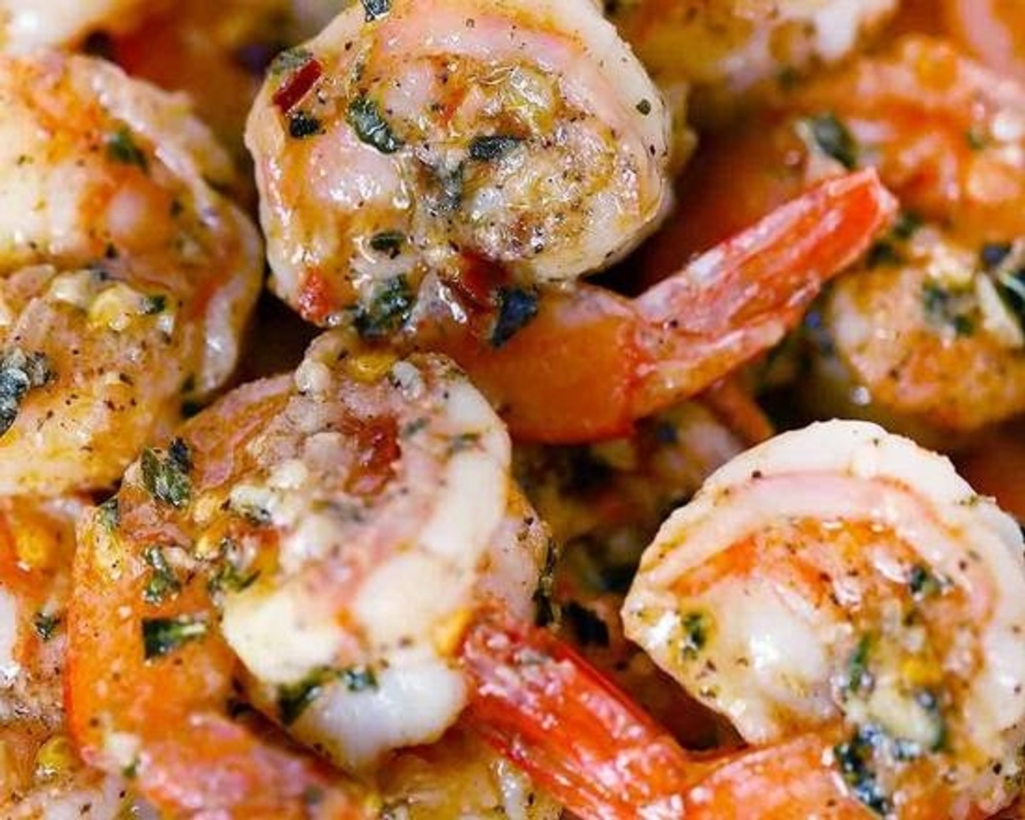 Shrimp
