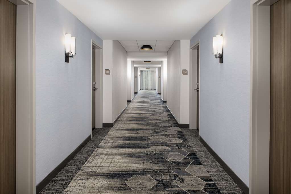 Hilton Garden Inn Pensacola Downtown Image