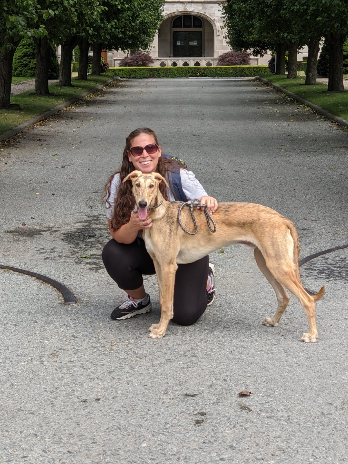 Klever Canine Academy