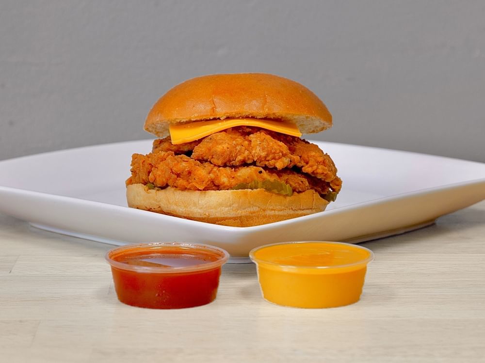 Spicy Chicken Sandwich Only