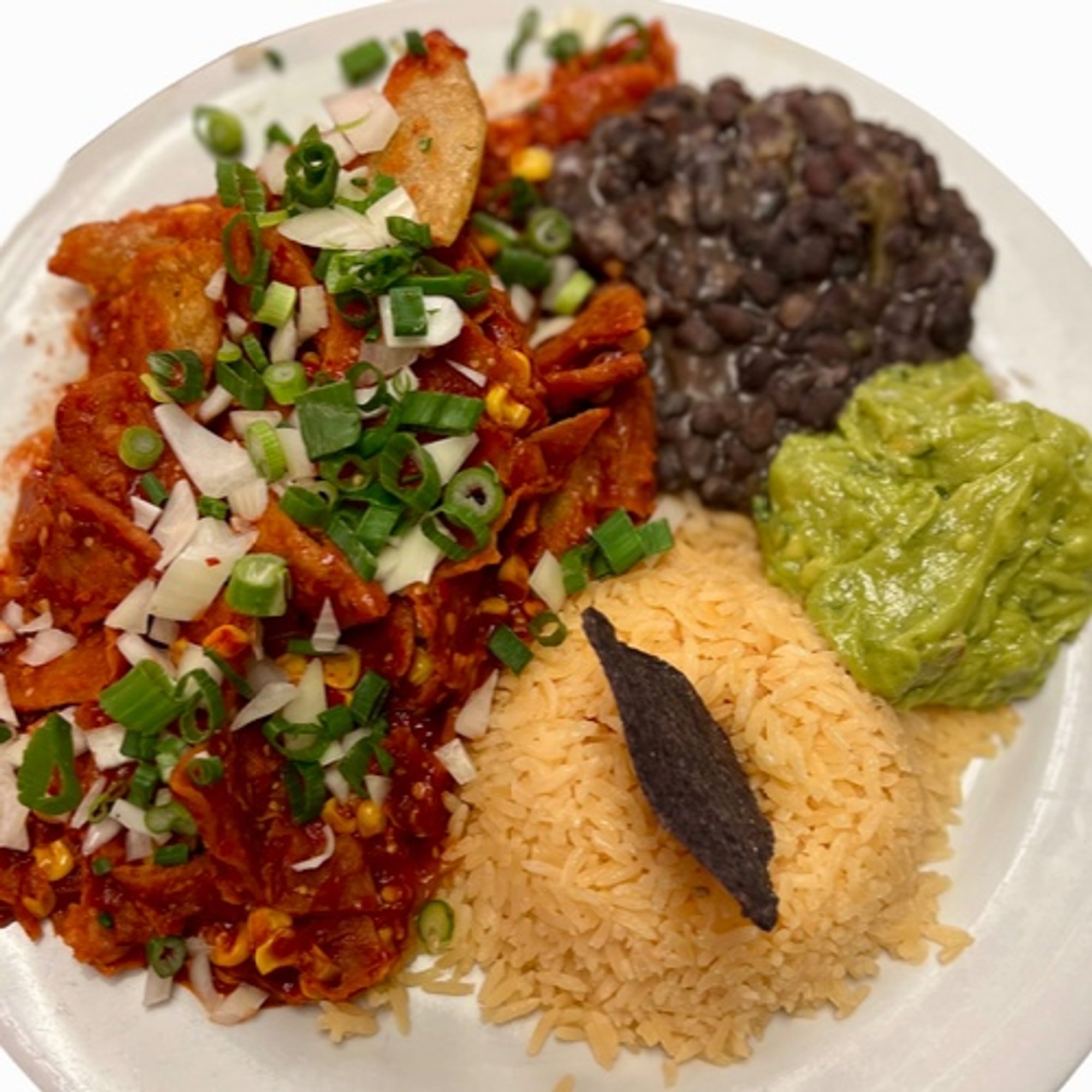 Vegan Chilaquiles Roja