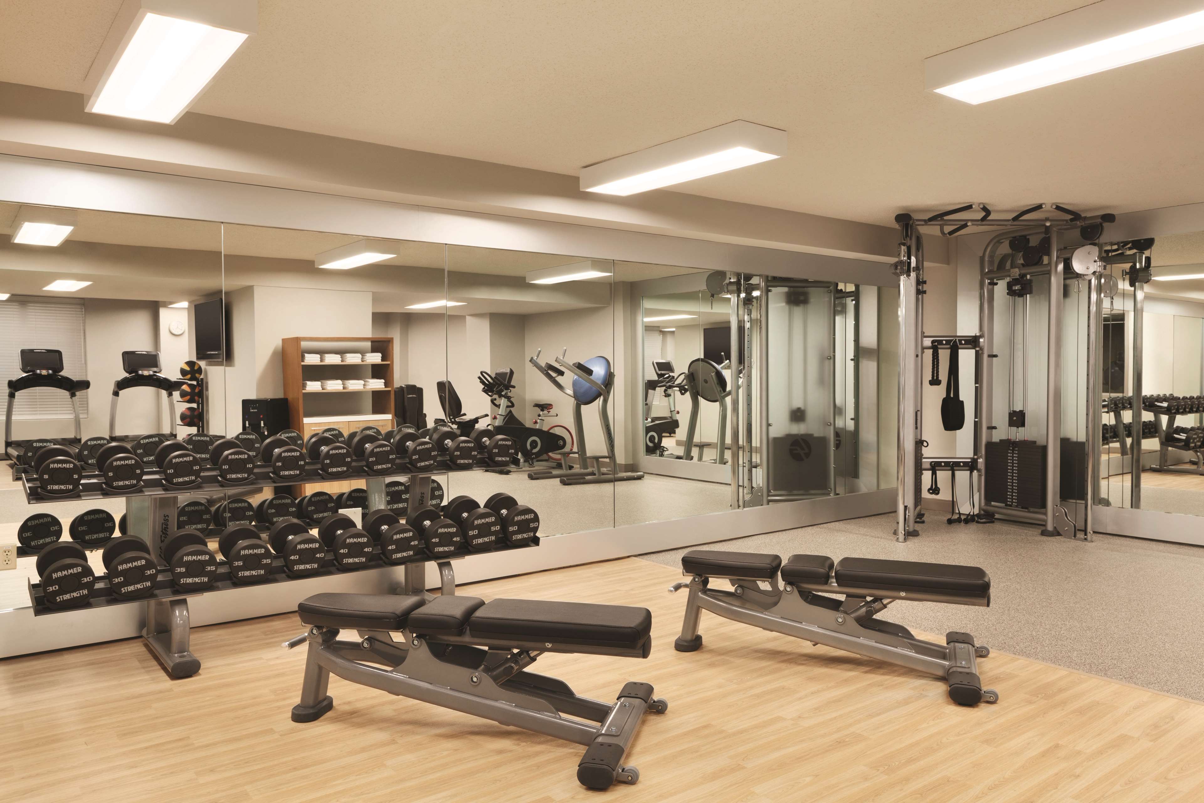 Health club  fitness center  gym