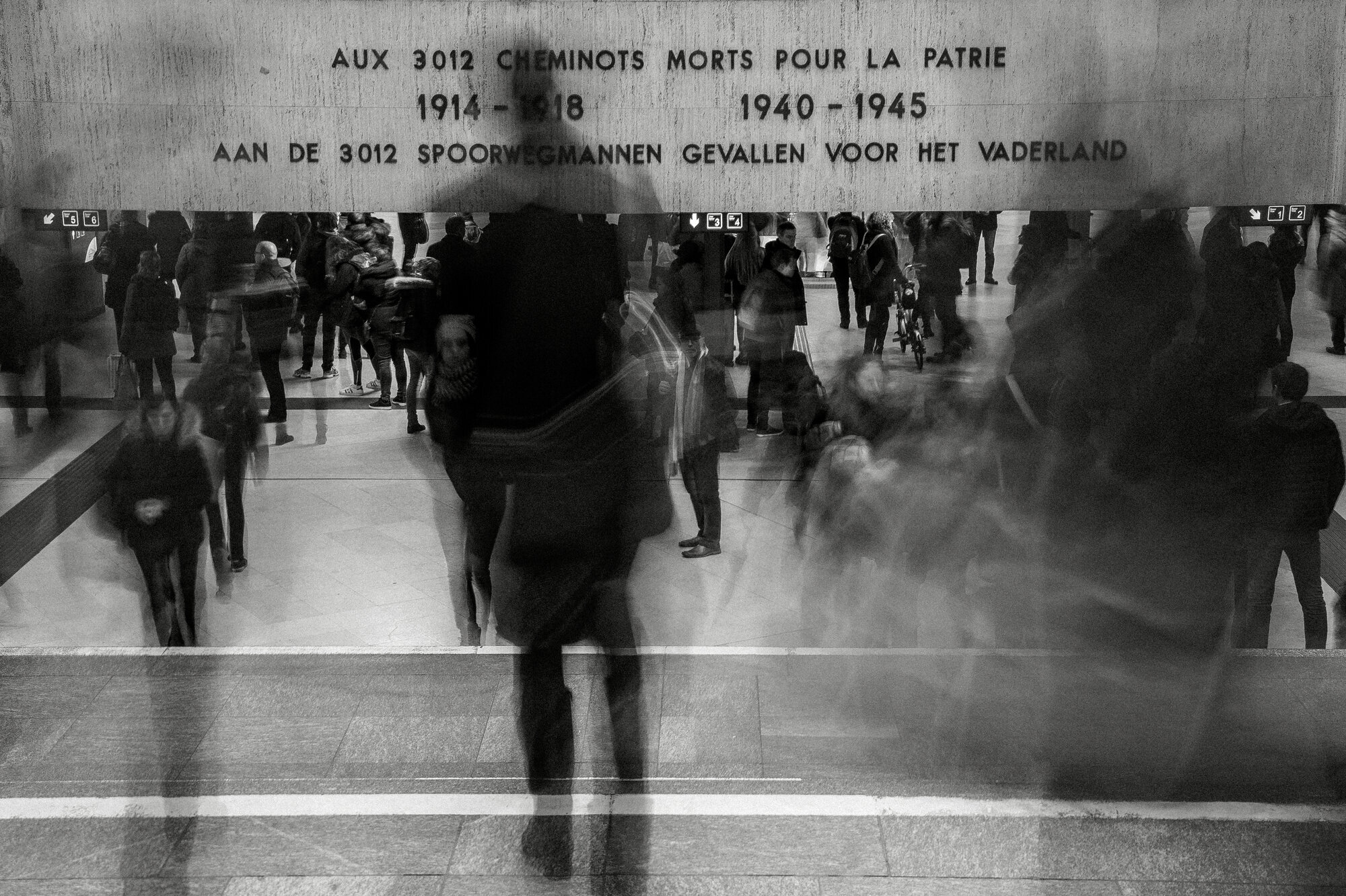 Miniature de la galerie