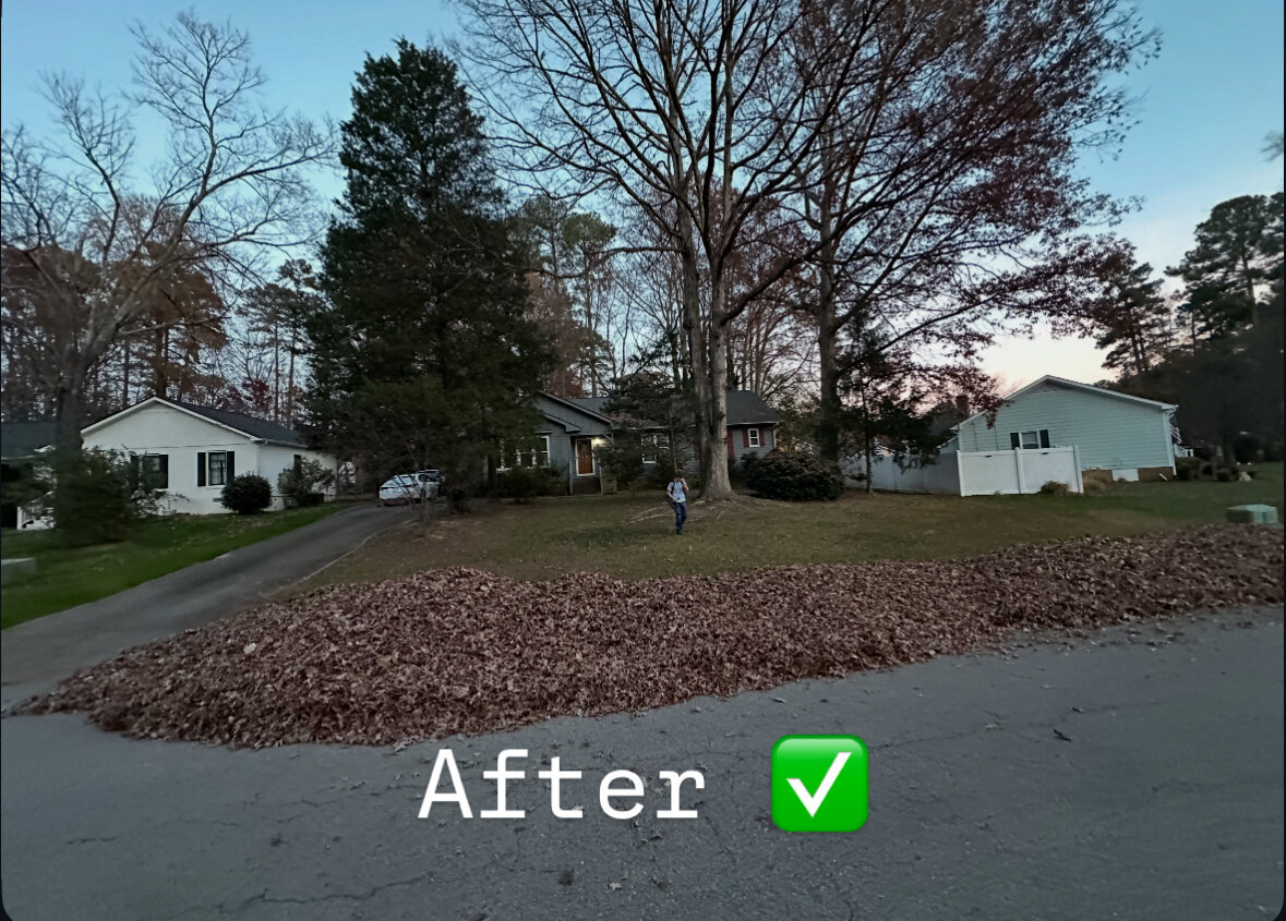 EZ Yard & Junk Image