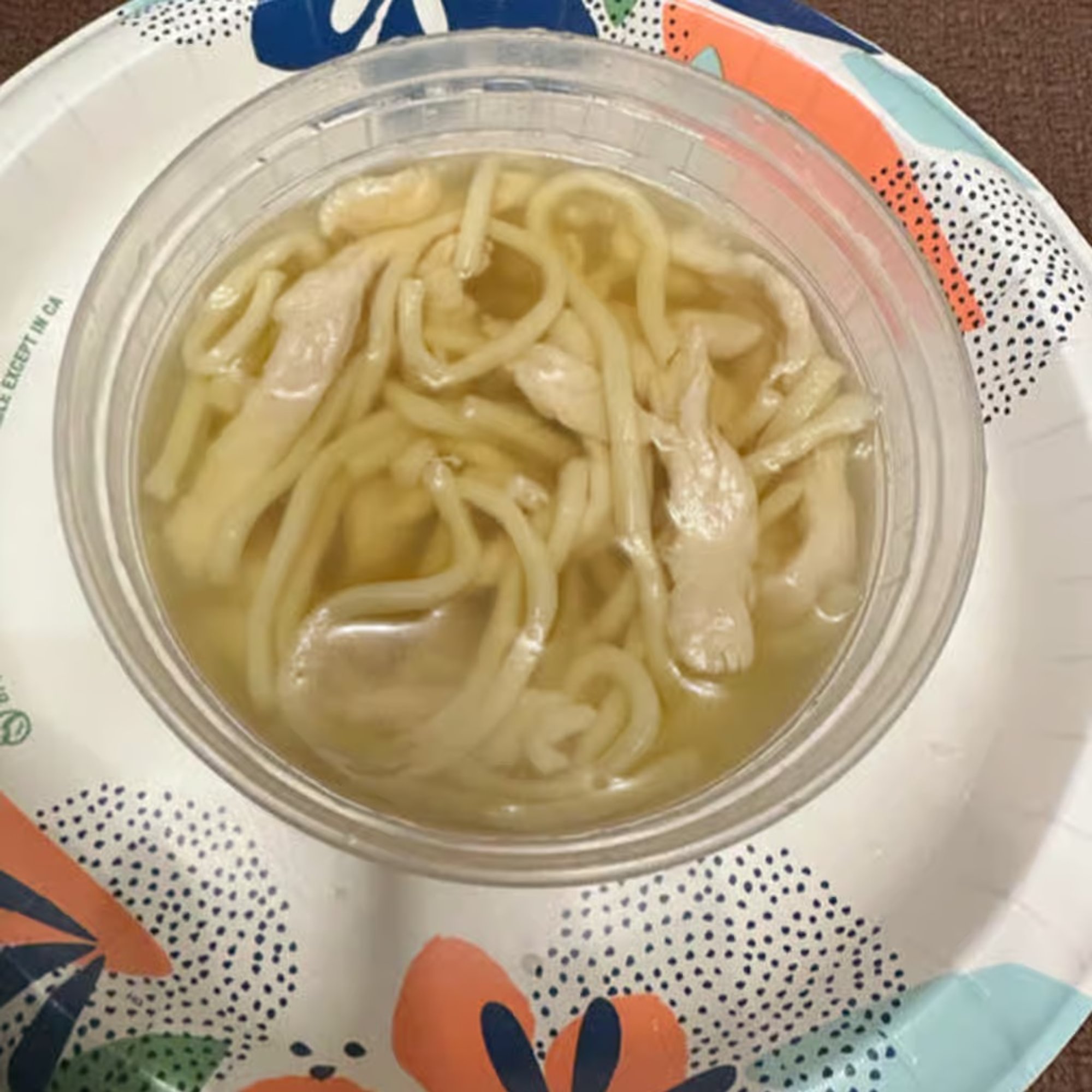 Chicken Noodle Soup