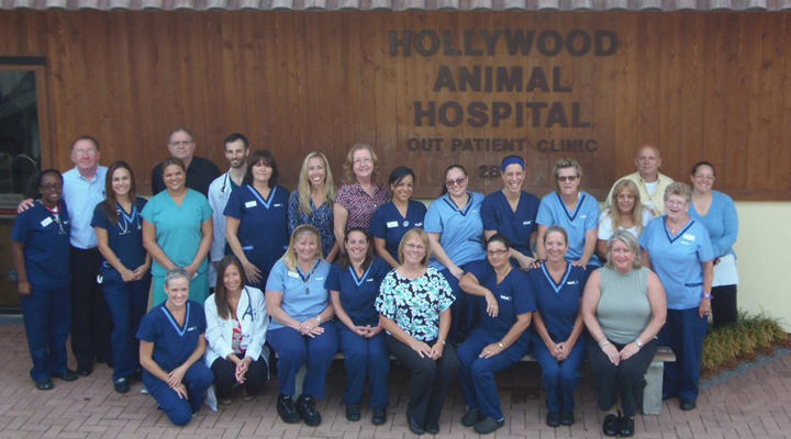 vca hollywood animal hospital