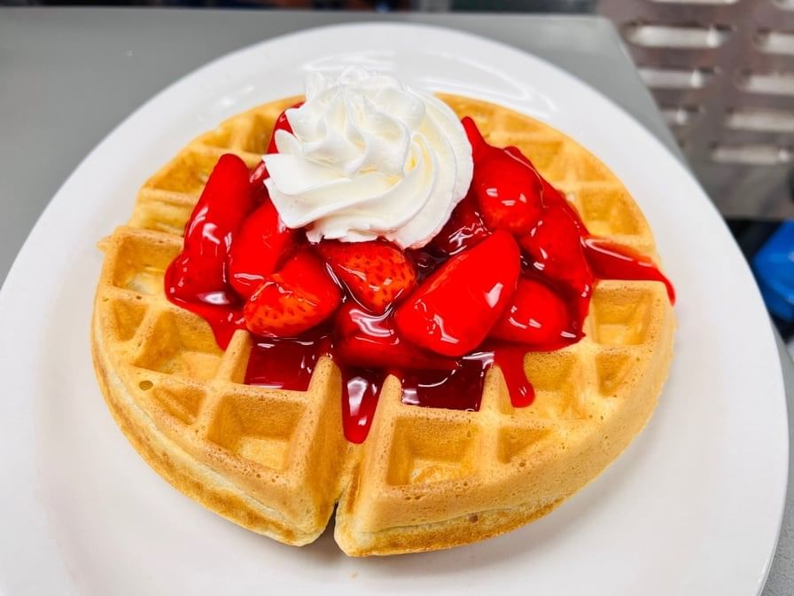 Malted Belgian Waffle