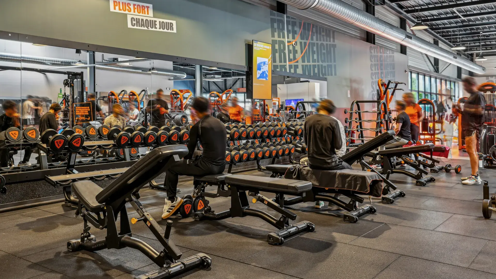 Miniature de la galerie