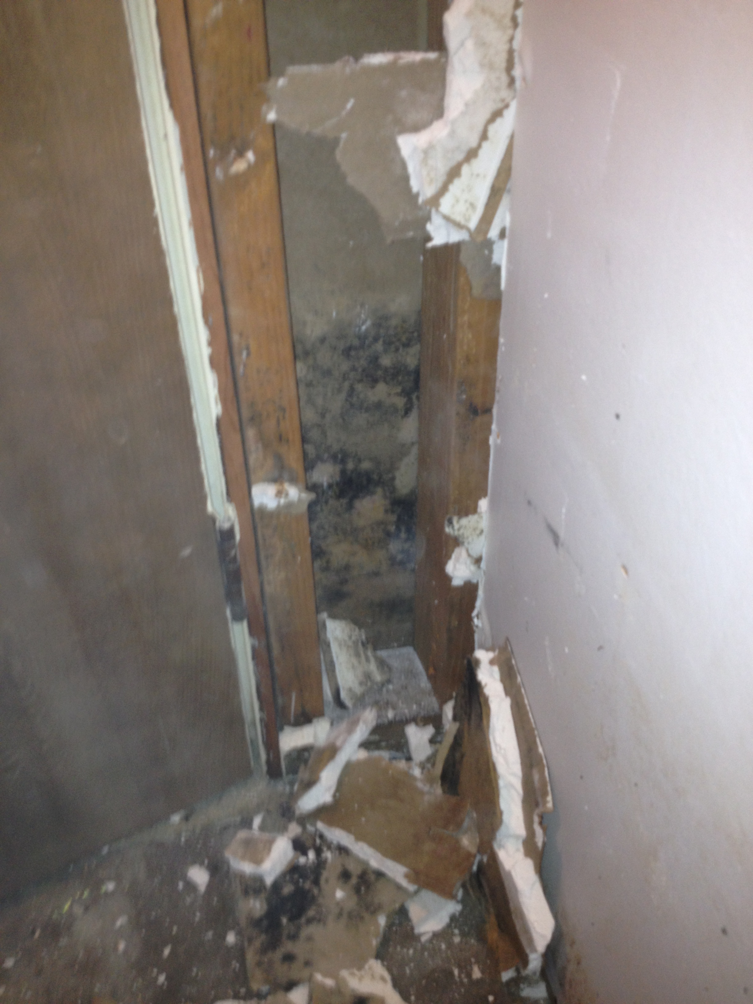 Water Damage Zone and Restoration Inc. Photo