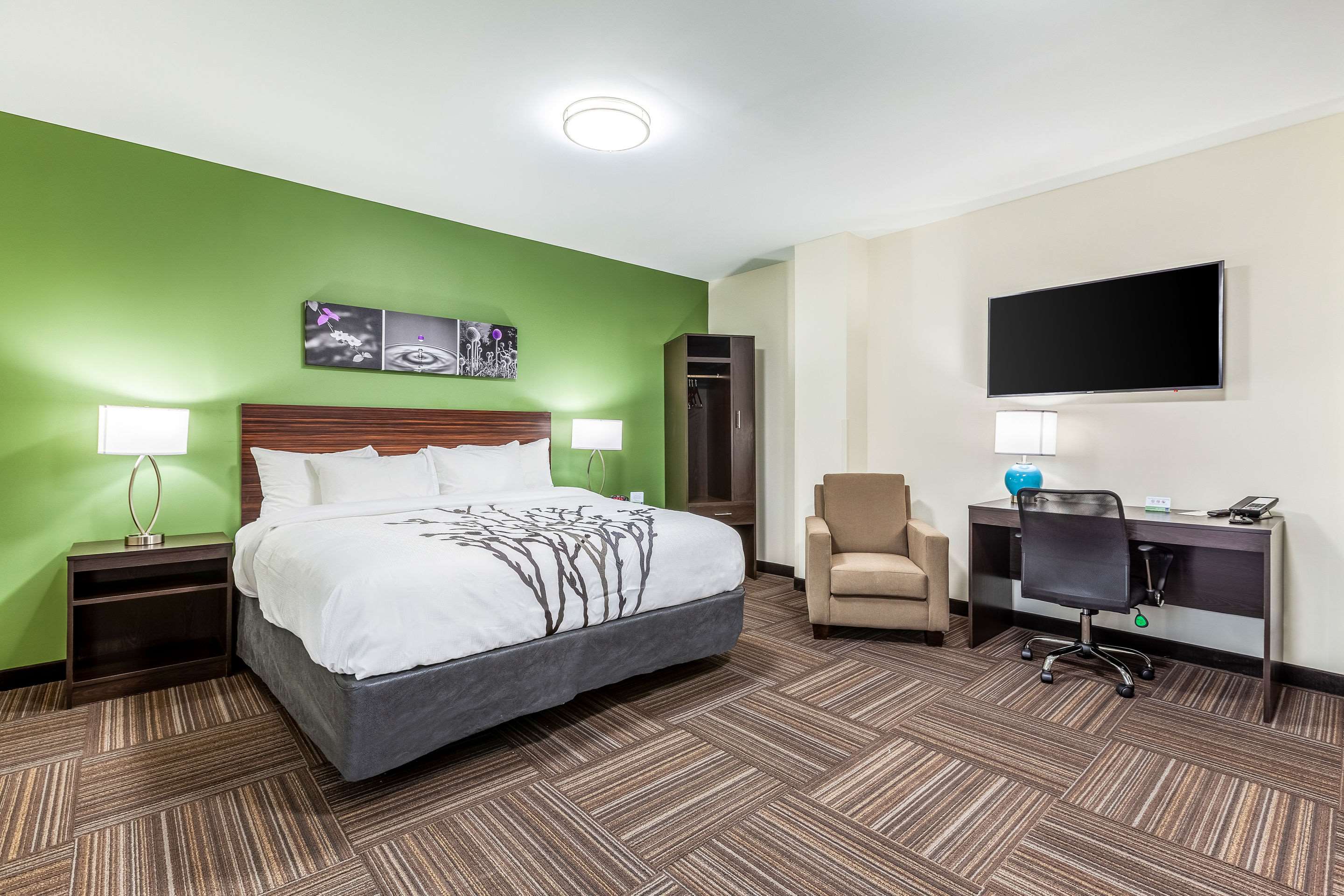 Sleep Inn & Suites Near Jfk Air Train Photo