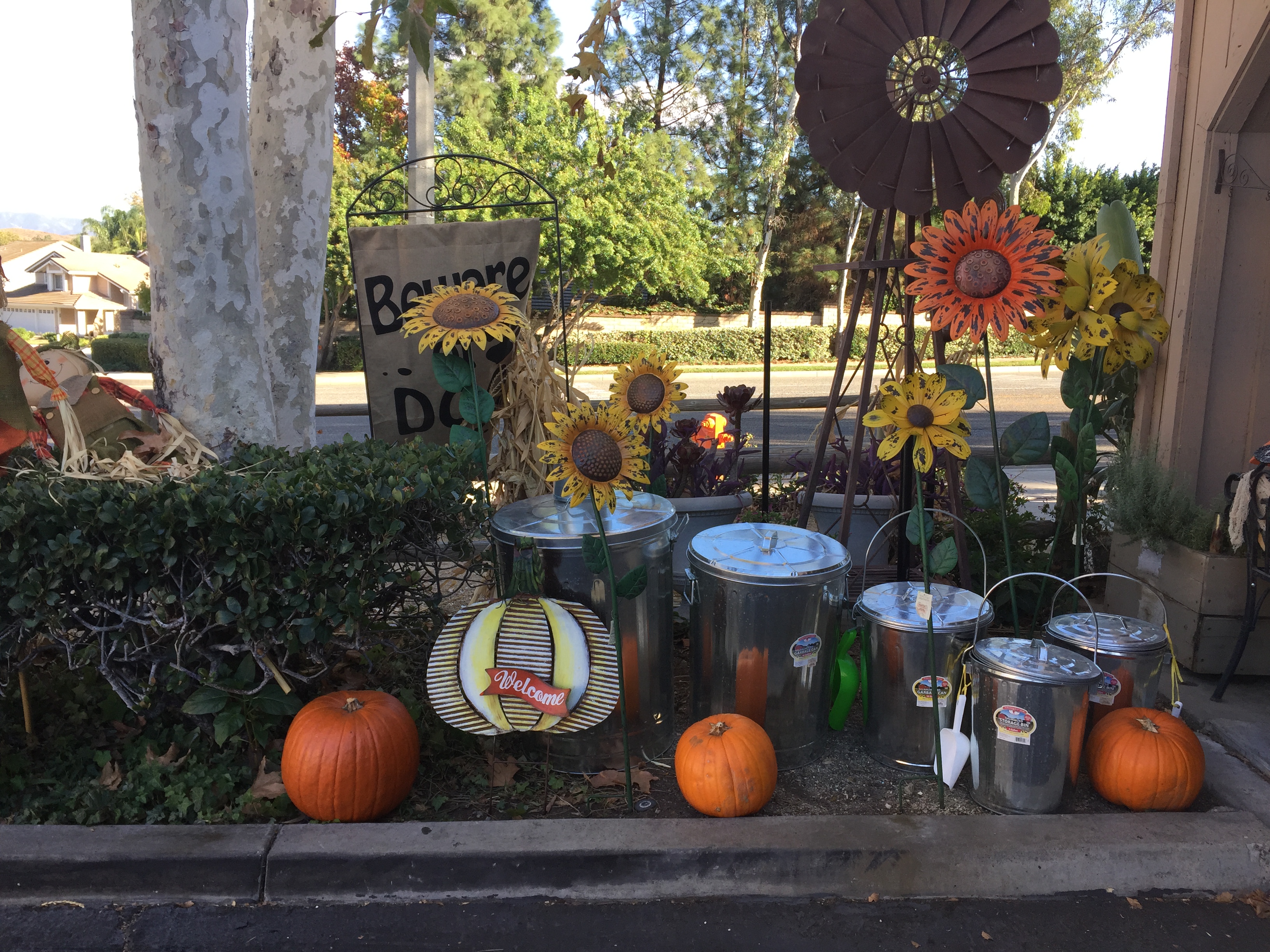 Wagon Train Feed and Pet Image