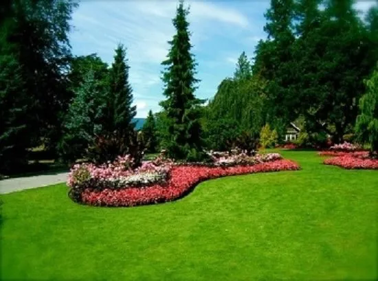 Landscaping Services