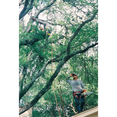 Gil's Tree Services