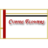 Cupid's Flowers Inc